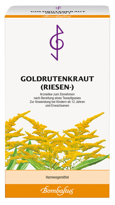 Goldrutenkraut (Riesen-)