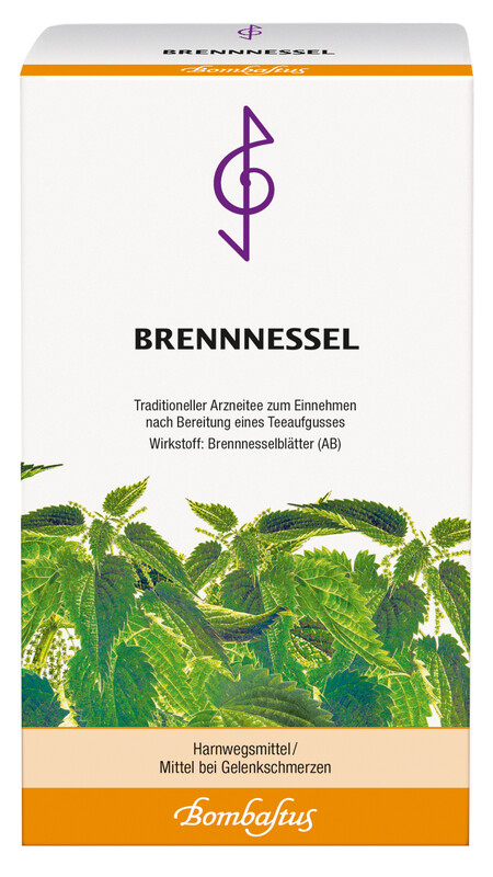 Brennnessel