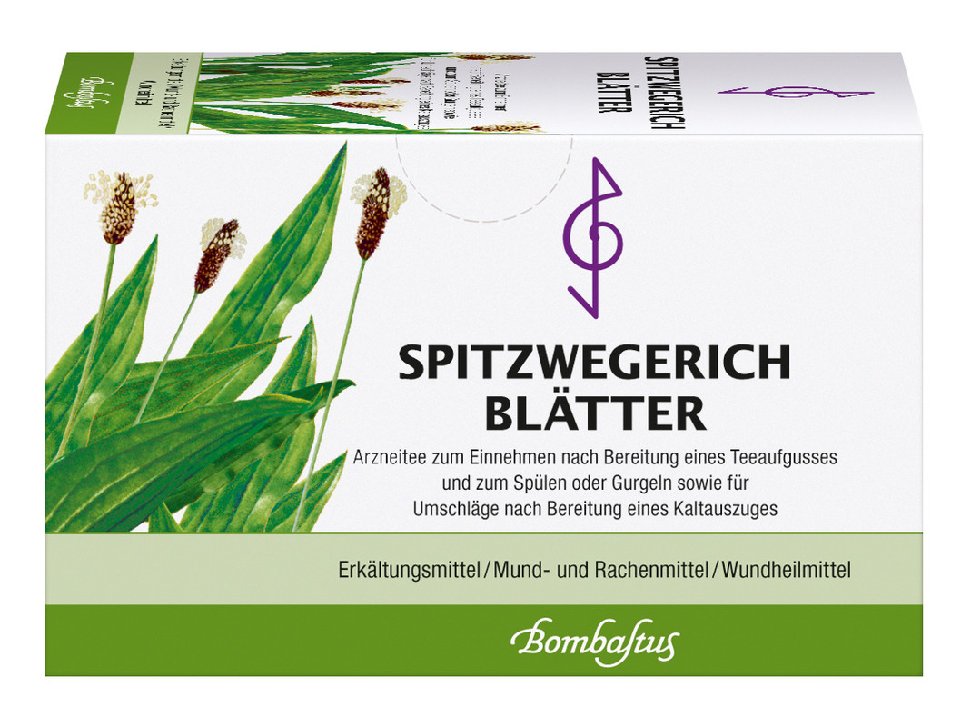 Spitzwegerichblätter