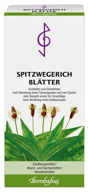 Spitzwegerichblätter