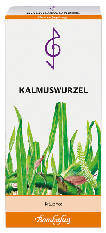 Kalmuswurzel Kalmuswurzel